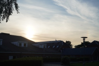 DSC04203