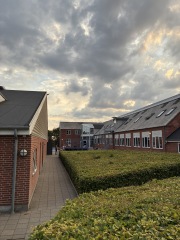 IMG_7570