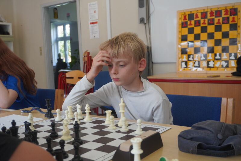 DSC04224